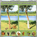Tree Trunk Protector Plastic Guard For Weather And Animal Damage