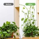 Invisible Plant Climbing Wall Clips Rattan Vine Leaf Holder Clips