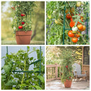 Plant Trellis Heavy Duty Climbing Net For Vegetables Tomato Grape