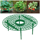 Strawberry Plant Support Rack Vegetable Growing Stand Garden Vine Protector