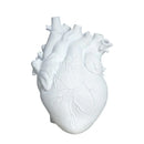 Heart Vase Decorative Dry Pot Human Anatomy Statue Container
