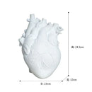 Heart Vase Decorative Dry Pot Human Anatomy Statue Container