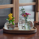 Glass Flower Vase Hydroponic Plant Pot Decorative Desktop Container