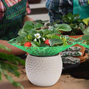 10Pcs Strawberry Plant Support Rack Vegetable Fruit Vine Growing Stand