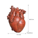 Heart Vase Decorative Dry Pot Human Anatomy Statue Container