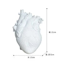 Heart Vase Decorative Dry Pot Human Anatomy Statue Container