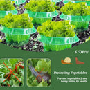 Slug Protection Rings For Garden Plants Flower Pots Vegetables Pest Control