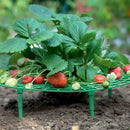 Strawberry Plant Support Rack Vegetable Growing Stand Garden Vine Protector