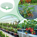 10Pcs Strawberry Plant Support Rack Vegetable Fruit Vine Growing Stand