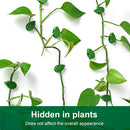 Invisible Plant Climbing Wall Clips Rattan Vine Leaf Holder Clips