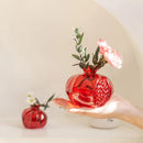 Glass Flower Vase Hydroponic Plant Pot Decorative Desktop Container