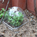 10pcs Square Plant Cloche Transparent Plastic Seedling Covers Garden Dome