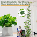 Invisible Plant Climbing Wall Clips Rattan Vine Leaf Holder Clips