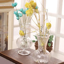 Dollhouse Miniatures Glass Vase Small Flower Pot Home Decoration