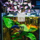 8 Pcs Aquarium Hanging Planter Acrylic Decorative Plant Pot Cups