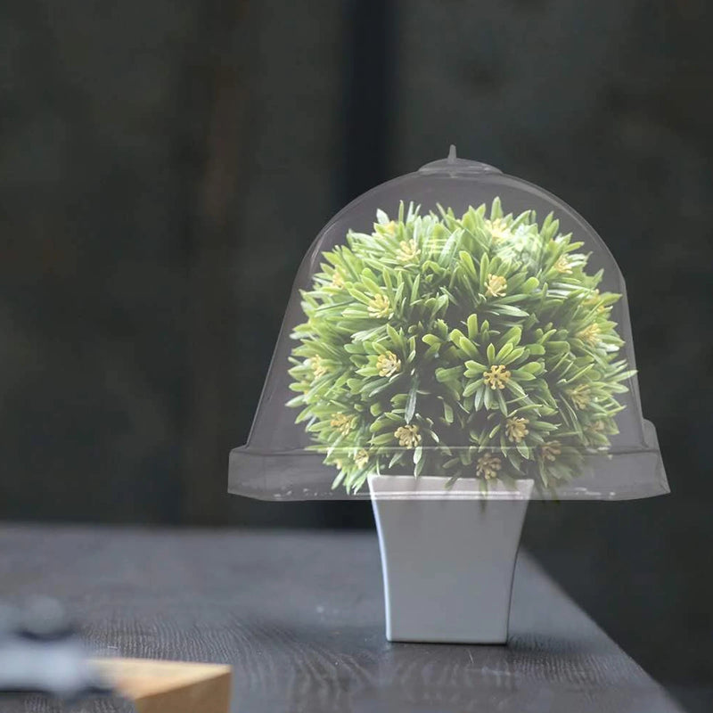 10pcs Square Plant Cloche Transparent Plastic Seedling Covers Garden Dome