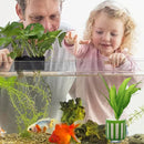 10Pcs Aquarium Plant Fixing Pot Kit With Suction Cups For Fish Tank