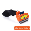 Cat Grooming Brush Hair Removal Comb For Cats And Dogs Pet Tool