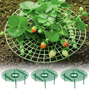 Strawberry Plant Support Rack Vegetable Growing Stand Garden Vine Protector