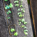 25mm 2m PET Tape For Scrapbooking Garden Path And Photo Album Decor