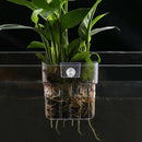 Aquarium Plant Basket Transparent Hanging Pot Aquatic Plants Holder