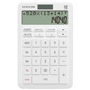 Desk Calculator Large 12 Digit LCD Display With History And Track Back