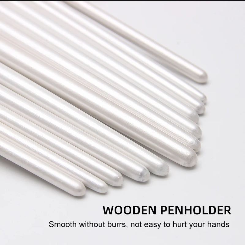 12-Piece Nylon Bristle Brushes Set For Wall Painting Art Supplies