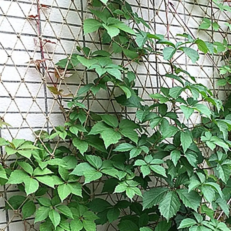 Climbing Plant Support Net Durable Reusable Hemp Mesh For Garden Plants