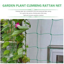Garden Climbing Netting Nylon Trellis Mesh For Plants Flowers Vegetables