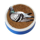 5pcs Durable Breathable Natural Coconut Fiber Pigeon Nesting Mat