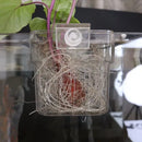 Aquarium Plant Basket Transparent Hanging Pot Aquatic Plants Holder