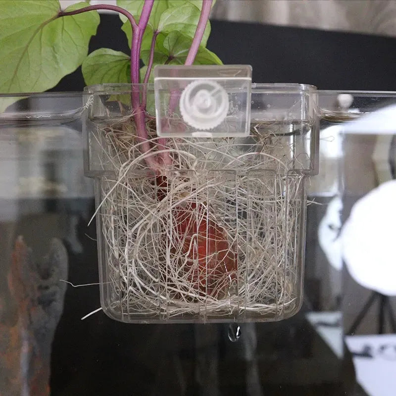 Aquarium Plant Basket Transparent Hanging Pot Aquatic Plants Holder
