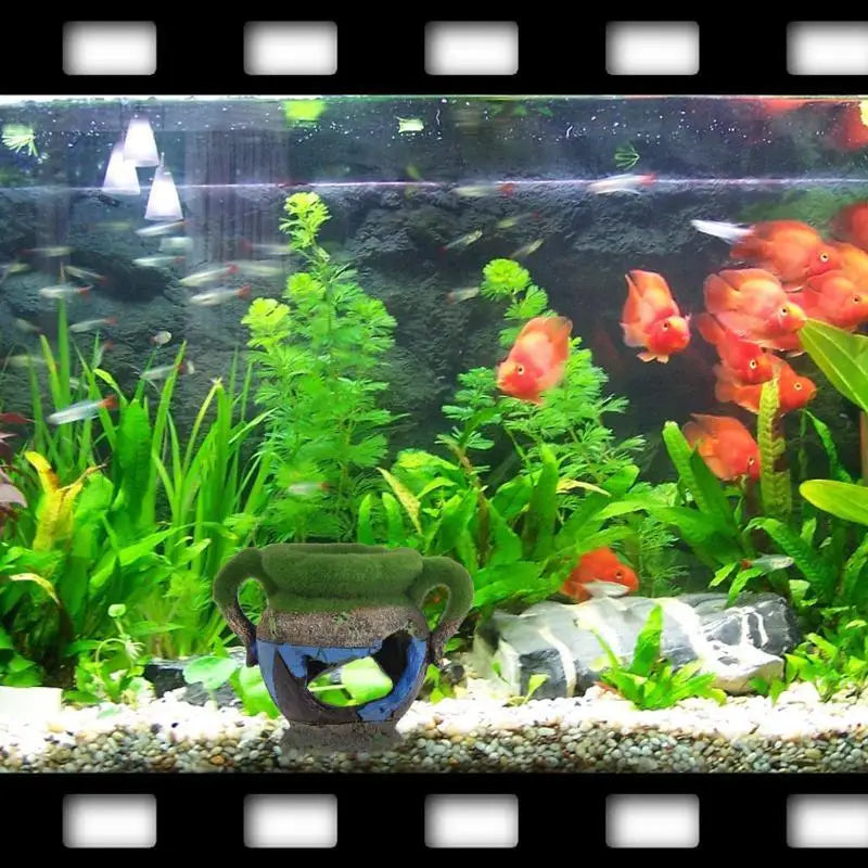 Resin Aquarium Vase With Moss Decoration For Fish And Shrimp Tanks