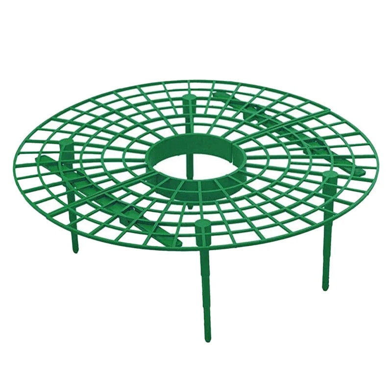 Strawberry Plant Support Rack Vegetable Growing Stand Garden Vine Protector