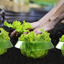6 Or 12Pcs Garden Plant Cloches Reusable Bell Covers For Protection