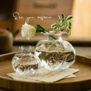 Glass Flower Vase Hydroponic Plant Pot Decorative Desktop Container