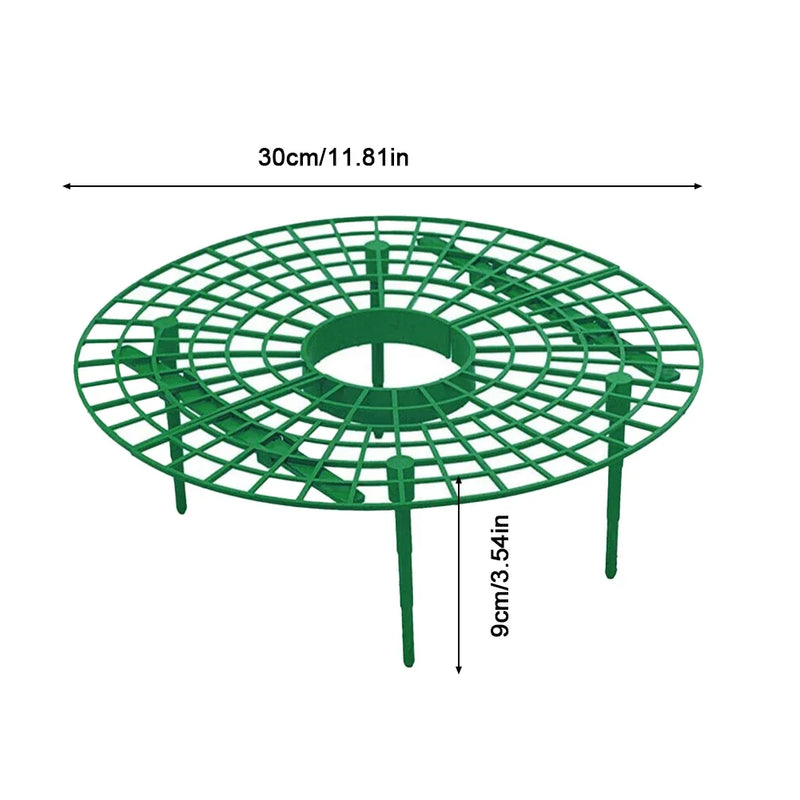 Strawberry Plant Support Rack Vegetable Growing Stand Garden Vine Protector