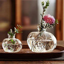Glass Flower Vase Hydroponic Plant Pot Decorative Desktop Container
