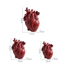 Heart Vase Decorative Dry Pot Human Anatomy Statue Container