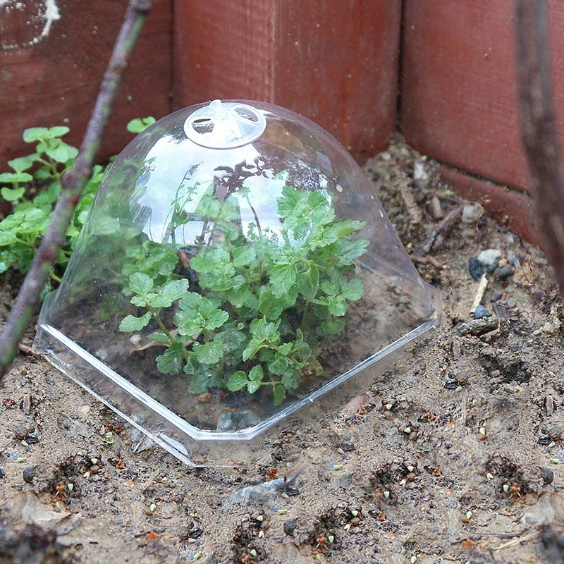 10pcs Square Plant Cloche Transparent Plastic Seedling Covers Garden Dome