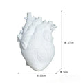 Heart Vase Decorative Dry Pot Human Anatomy Statue Container