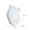 Heart Vase Decorative Dry Pot Human Anatomy Statue Container