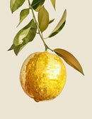 Retro Fruit Disco Ball Poster Citrus Apple Strawberry Canvas Art