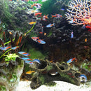 Fish Tank Decor Hollow Log Aquarium Escape Hole Dead Wood Ornament