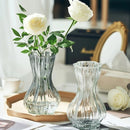 Creative Transparent Glass Flower Vase For Fresh Lily Rose Arrangements