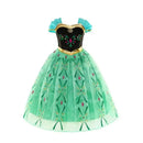 Elsa Anna Princess Dress Girls Mesh Sequin Snow Queen Costume Gown