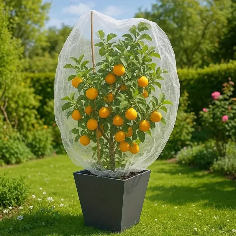 Nylon Plant Protection Netting Mesh Cover For Fruit Vegetable Trees