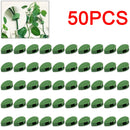 Invisible Plant Climbing Wall Clips Rattan Vine Leaf Holder Clips