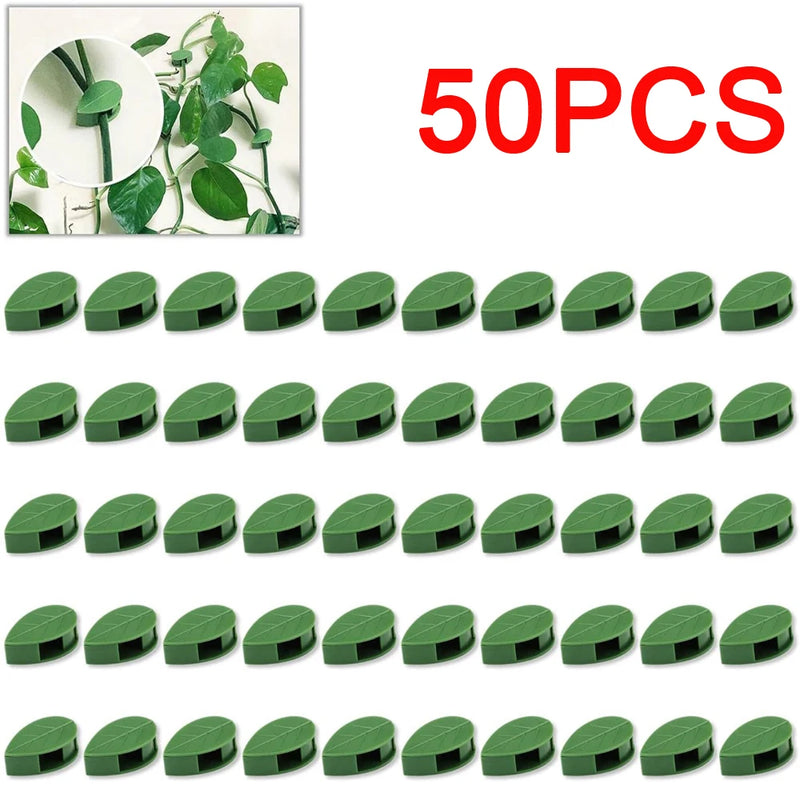 Invisible Plant Climbing Wall Clips Rattan Vine Leaf Holder Clips