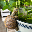 CuteGarden Tortoise Figurine Turtle Statue Hanging Ornament Planter Decor